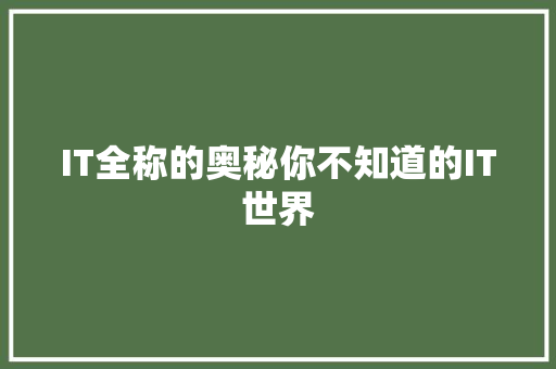 IT全称的奥秘你不知道的IT世界 神马SEO