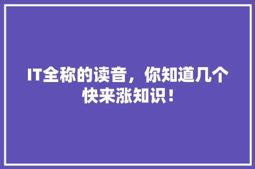 IT全称的读音，你知道几个快来涨知识！