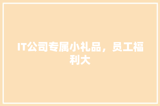 IT公司专属小礼品，员工福利大 GoogleSEO