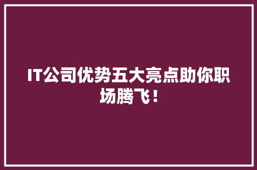 IT公司优势五大亮点助你职场腾飞！