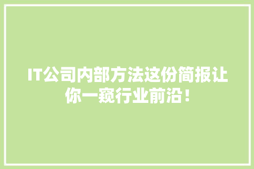 IT公司内部方法这份简报让你一窥行业前沿！ GoogleSEO