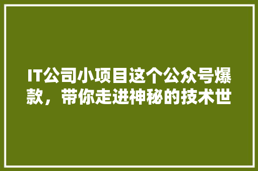 IT公司小项目这个公众号爆款，带你走进神秘的技术世界！