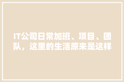 IT公司日常加班、项目、团队，这里的生活原来是这样！ 神马SEO