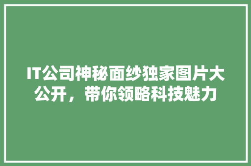 IT公司神秘面纱独家图片大公开，带你领略科技魅力