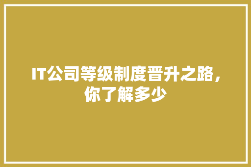 IT公司等级制度晋升之路，你了解多少