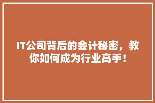 IT公司背后的会计秘密，教你如何成为行业高手！ 必应SEO