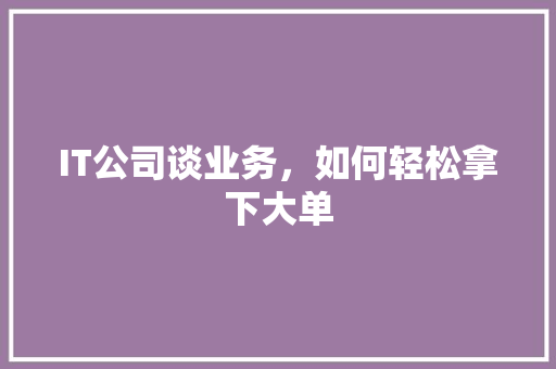 IT公司谈业务，如何轻松拿下大单 必应SEO