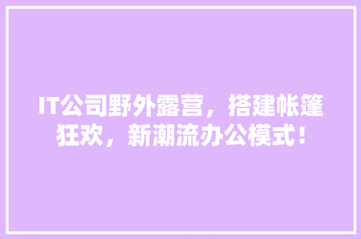 IT公司野外露营，搭建帐篷狂欢，新潮流办公模式！ 必应SEO