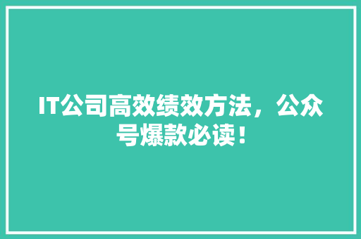IT公司高效绩效方法，公众号爆款必读！ 必应SEO