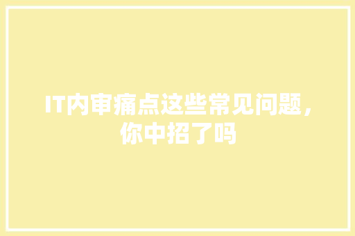 IT内审痛点这些常见问题，你中招了吗 必应SEO
