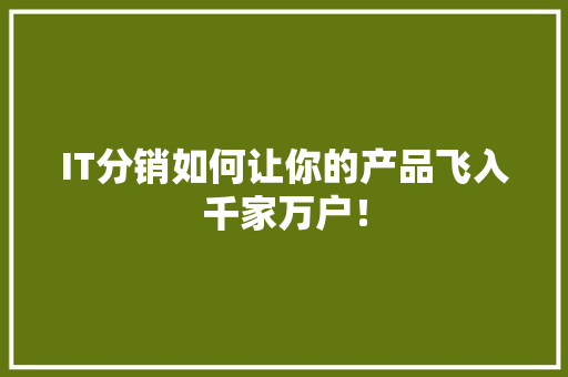 IT分销如何让你的产品飞入千家万户！ 百度SEO