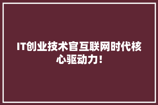 IT创业技术官互联网时代核心驱动力！ GoogleSEO