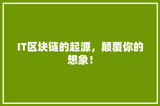 IT区块链的起源，颠覆你的想象！