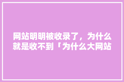 网站明明被收录了，为什么就是收不到「为什么大网站收录快」 网站明明被收录了，为什么就是收不到「为什么大网站收录快」 必应SEO