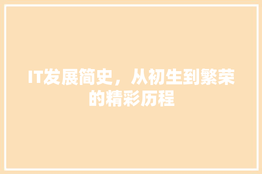 IT发展简史，从初生到繁荣的精彩历程