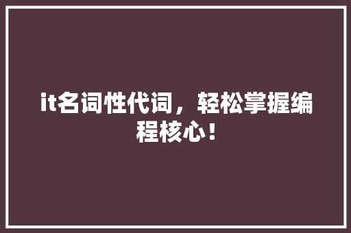 it名词性代词，轻松掌握编程核心！ 神马SEO