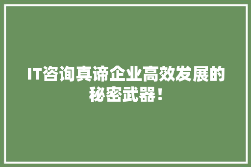 IT咨询真谛企业高效发展的秘密武器！