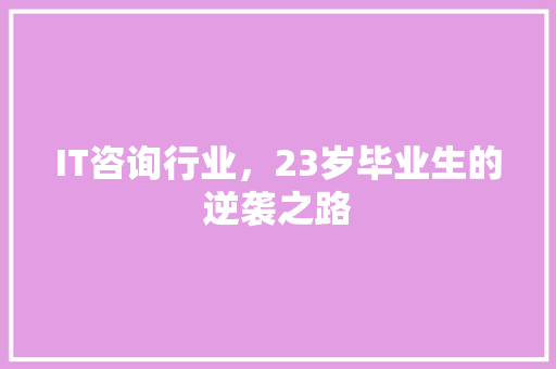 IT咨询行业，23岁毕业生的逆袭之路 百度SEO