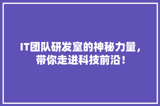 IT团队研发室的神秘力量，带你走进科技前沿！ GoogleSEO