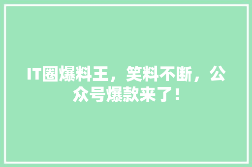 IT圈爆料王，笑料不断，公众号爆款来了！ 百度SEO