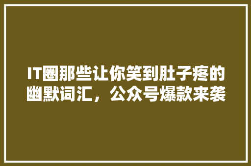 IT圈那些让你笑到肚子疼的幽默词汇，公众号爆款来袭！ 必应SEO