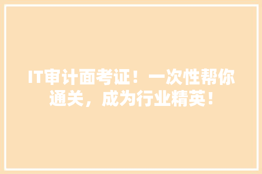 IT审计面考证！一次性帮你通关，成为行业精英！ 神马SEO