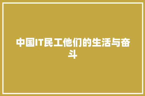 中国IT民工他们的生活与奋斗 必应SEO