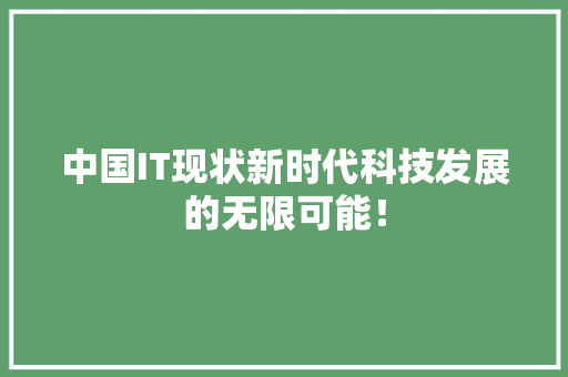 中国IT现状新时代科技发展的无限可能！ 神马SEO