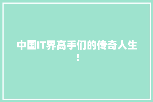 中国IT界高手们的传奇人生！ 神马SEO