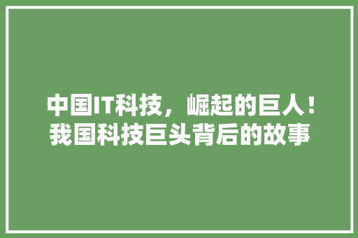 中国IT科技，崛起的巨人！我国科技巨头背后的故事