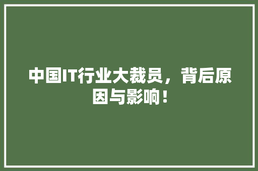 中国IT行业大裁员，背后原因与影响！ 百度SEO