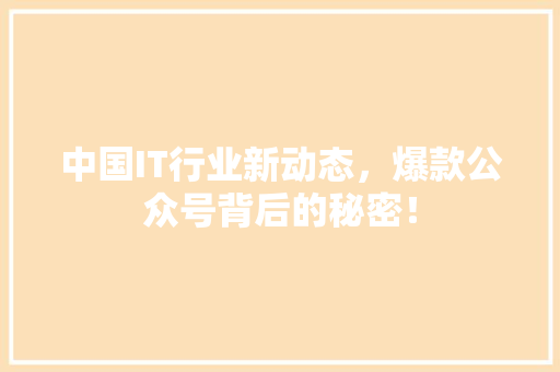 中国IT行业新动态，爆款公众号背后的秘密！ 百度SEO