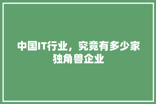 中国IT行业，究竟有多少家独角兽企业