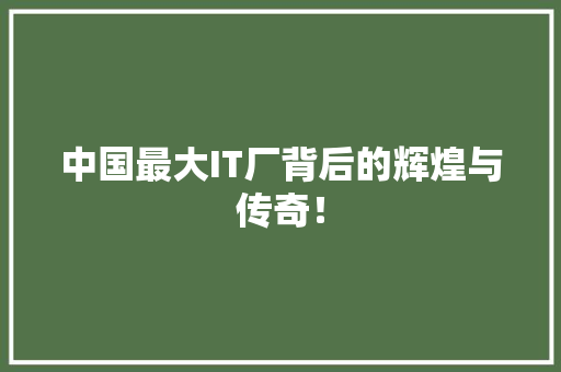 中国最大IT厂背后的辉煌与传奇！ 必应SEO