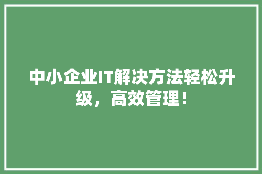 中小企业IT解决方法轻松升级，高效管理！ 必应SEO