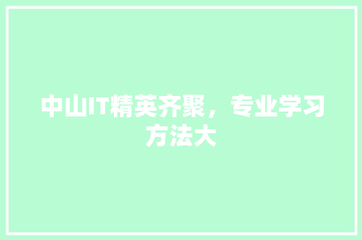 中山IT精英齐聚，专业学习方法大