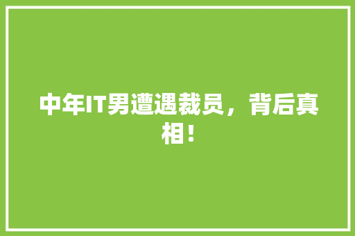 中年IT男遭遇裁员，背后真相！ GoogleSEO