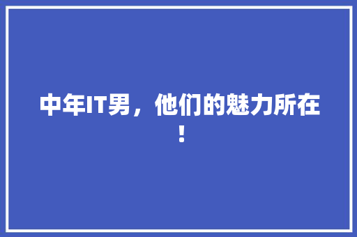 中年IT男，他们的魅力所在！ GoogleSEO