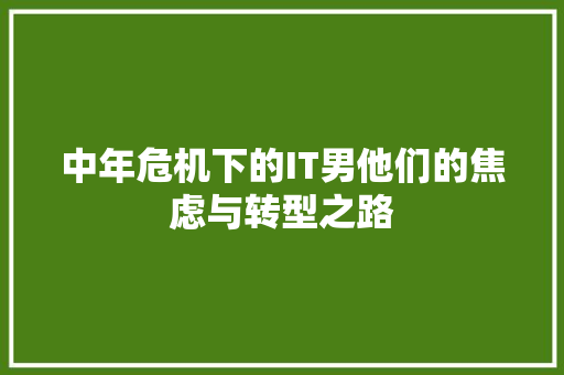 中年危机下的IT男他们的焦虑与转型之路 GoogleSEO