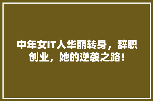 中年女IT人华丽转身，辞职创业，她的逆袭之路！ 搜狗SEO