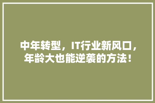 中年转型，IT行业新风口，年龄大也能逆袭的方法！