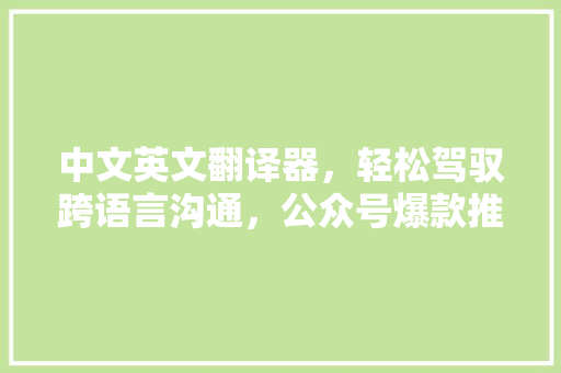 中文英文翻译器，轻松驾驭跨语言沟通，公众号爆款推荐！ 百度SEO