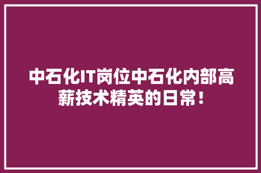 中石化IT岗位中石化内部高薪技术精英的日常！ 百度SEO