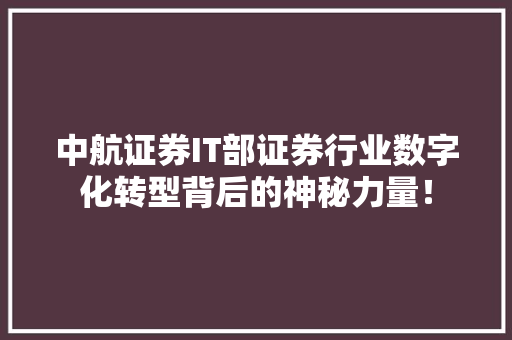 中航证券IT部证券行业数字化转型背后的神秘力量！ 必应SEO