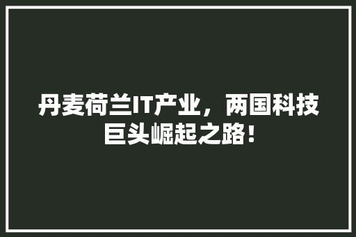 丹麦荷兰IT产业，两国科技巨头崛起之路！ 必应SEO