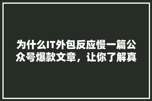 为什么IT外包反应慢一篇公众号爆款文章，让你了解真相！ 搜狗SEO