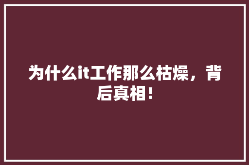为什么it工作那么枯燥，背后真相！ GoogleSEO