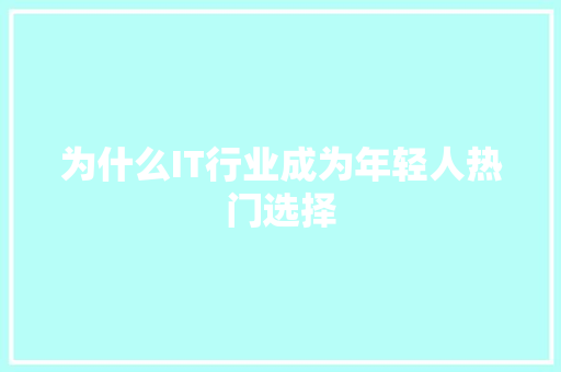 为什么IT行业成为年轻人热门选择 神马SEO
