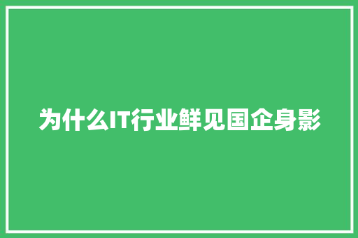 为什么IT行业鲜见国企身影