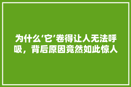 为什么‘它’卷得让人无法呼吸，背后原因竟然如此惊人！ 搜狗SEO